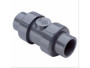 2" Cpvc Check Valve