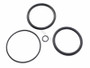Piston Oring Kit 2" Hayward