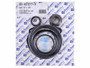 Jandy Jhp Pump Seal Kit