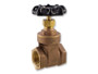 Turfgro 1" Brass Gate Valve Threaded