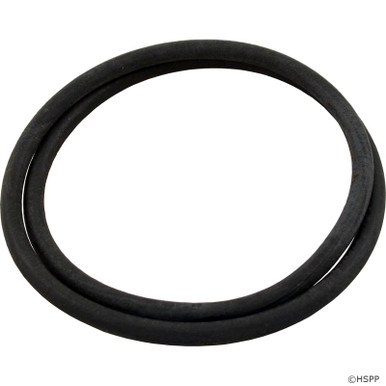 Poolmiser Ring Clean & Clear/ Posi-Clear Tank Oring