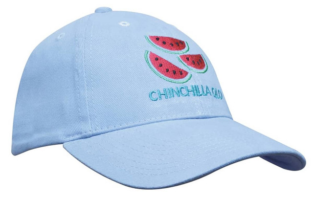 A blue cap featuring an embroidered design of watermelon slices and a logo.