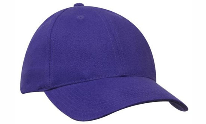A purple cap featuring a curved brim and a structured crown, complete with an adjustable strap at the back.