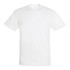 A plain white adult t-shirt with short sleeves and a crew neck, featuring a logo on the neckline.