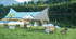 A camping canopy featuring a light blue design with palm trees, set up near a serene lake and grassy area.