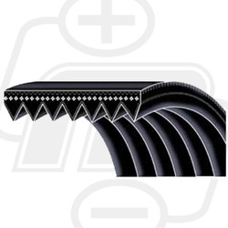 Pix P060475E | Poly Rib K Belt - 47.5in EL-6 Rib