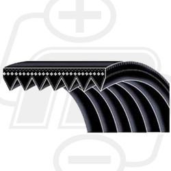 P060923E | Poly Rib K Belt - 92.3in EL-6 Rib P060923E PIX