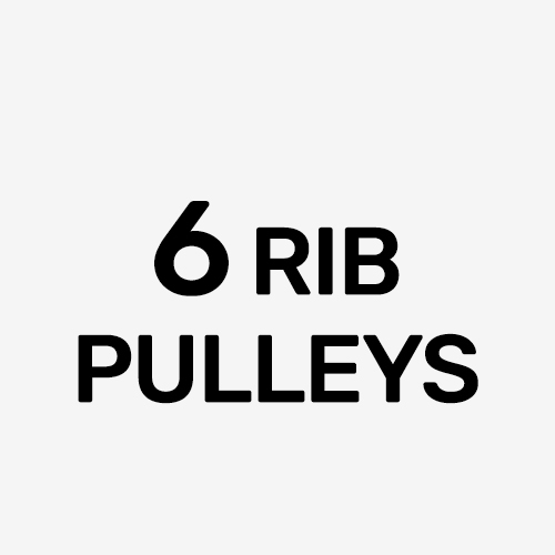 6 Rib