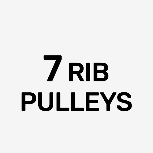 7 Rib