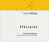 Wine Label for Bianchello del Metauro Albaspino Villa Ligi 2021