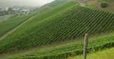 How Steep Is That Vineyard? How Steep Is That Vineyard?