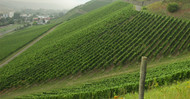 How Steep Is That Vineyard?