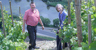 Weingut Freiherr Von Heddesdorff