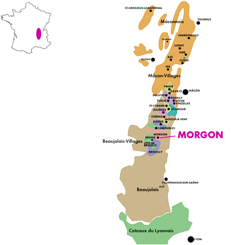 Appellation Map for Morgon Côte du Py Domaine de Robert 2020