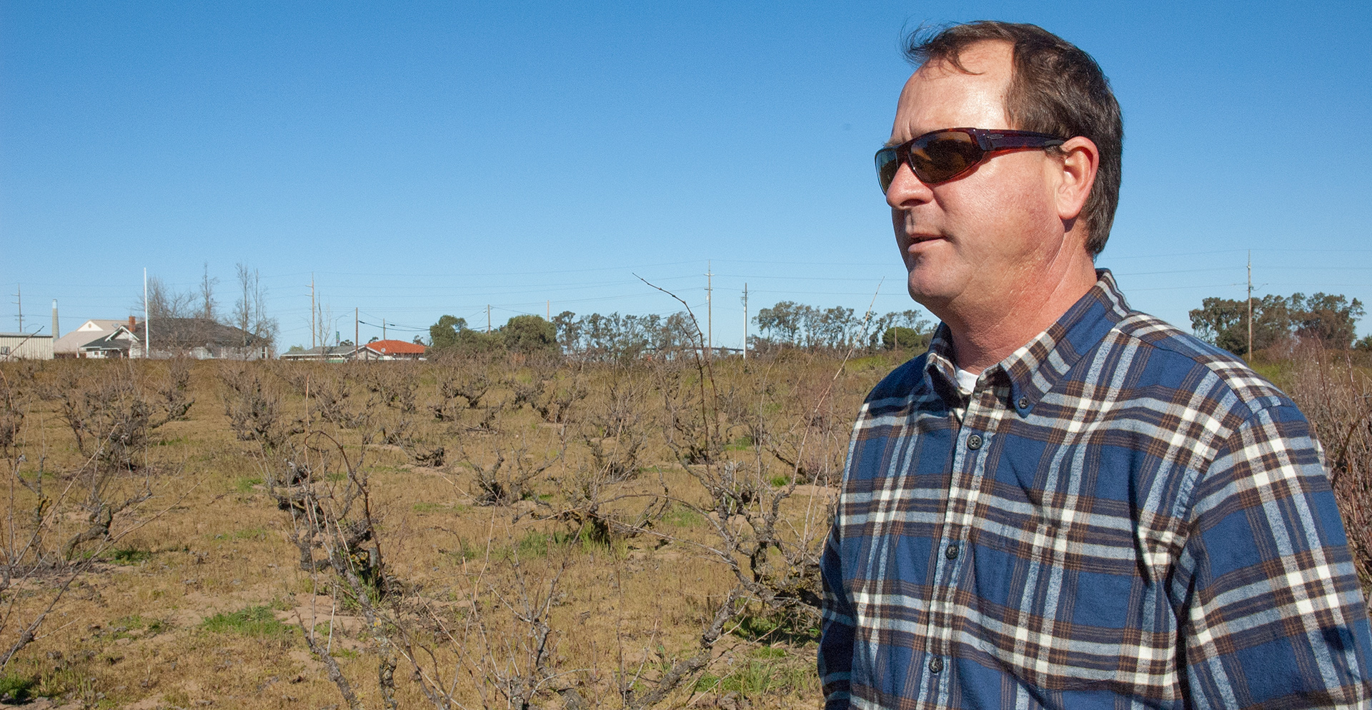 Photo of the wine producer of Contra Costa County Zinfandel Contra Costa Three Wine Company 2019 NY