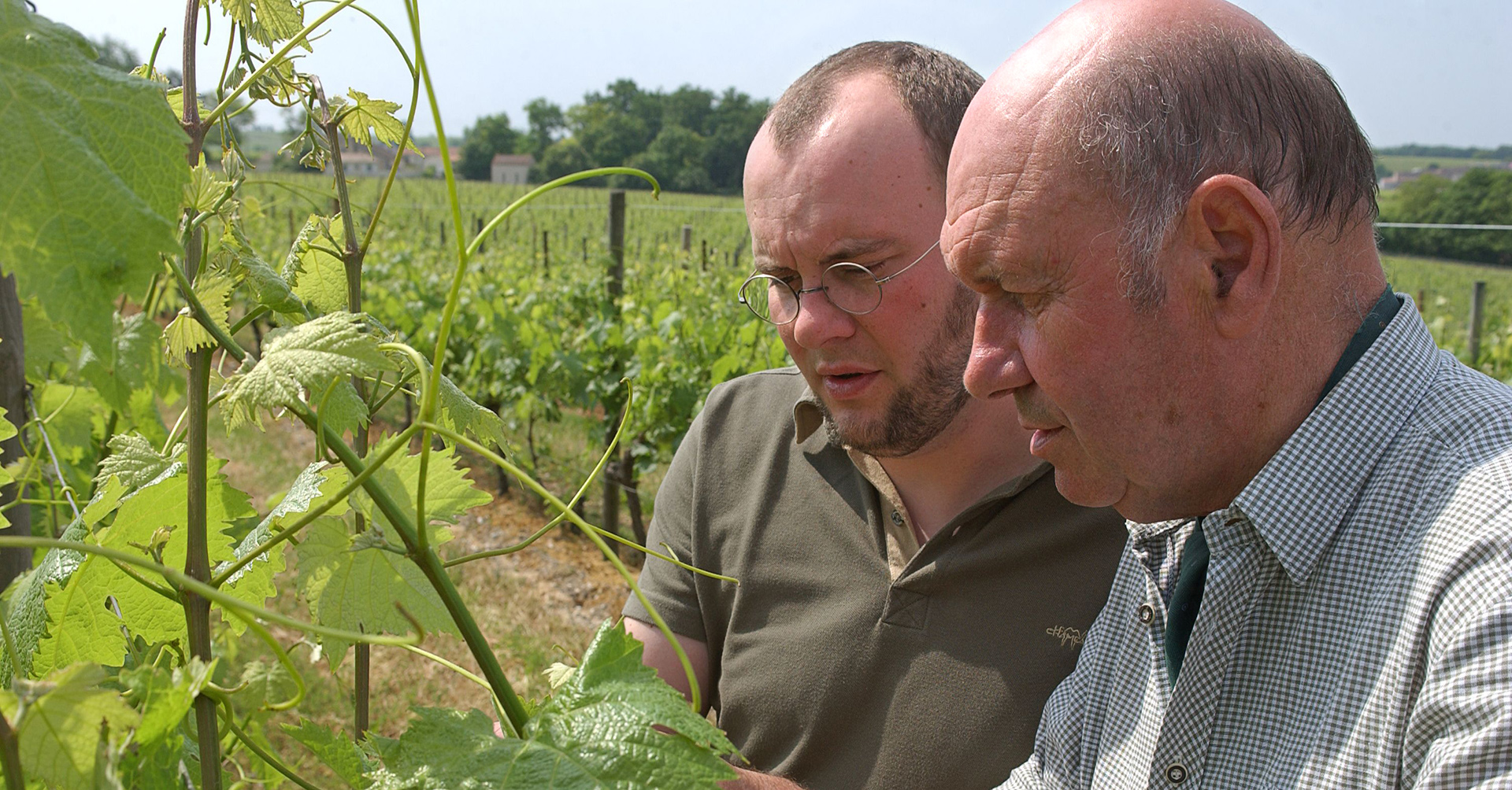 Photo of the wine producer of Cognac XO Grande Reserve Jean Fillioux 