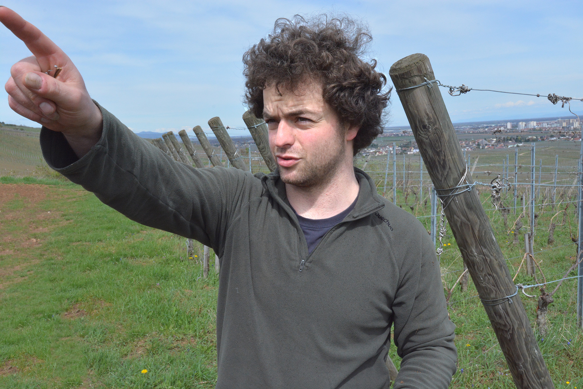 Photo of the wine producer of Alsace Gewürztraminer Tradition Domaine Barmès-Buecher 2020