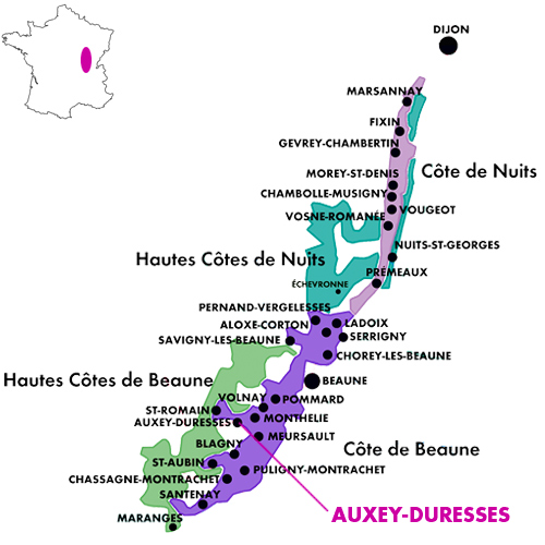 Appellation Map for Auxey-Duresses Premier Cru Ecusseaux Domaine Ampeau 1999