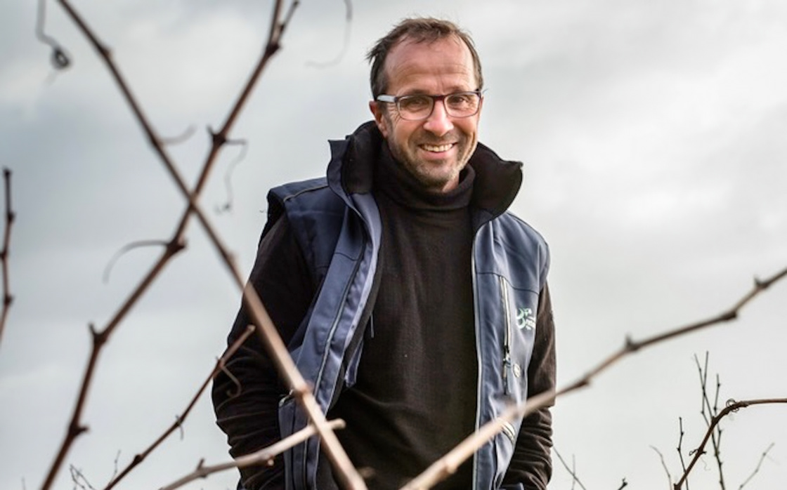 Photo of the wine producer of Muscadet Sèvre et Maine Cru Communal Gorges La Tour Gallus 2015
