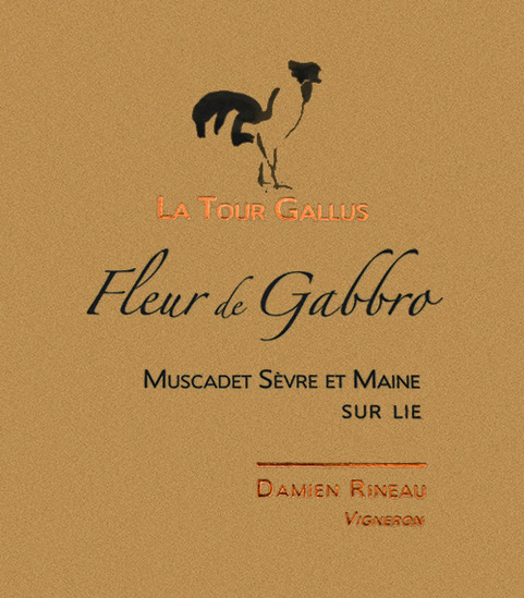 Muscadet Sèvre et Maine Fleur de Gabbro La Tour Gallus 2020 DE