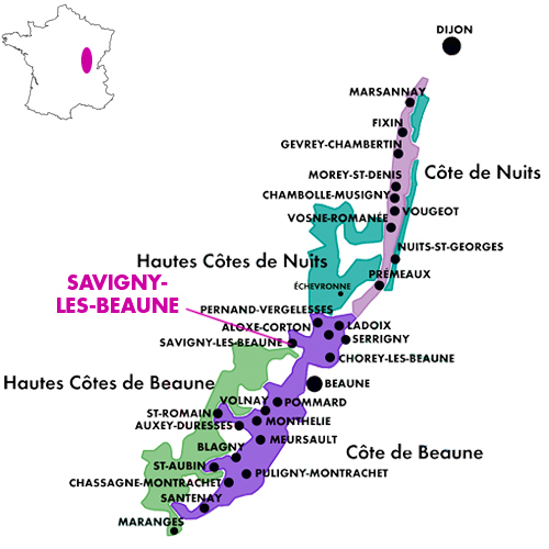 Appellation Map for Savigny-les-Beaune Premier Cru Les Charnières Domaine Cornu-Camus 2021