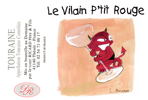 Touraine Le Vilain P'tit Rouge Domaine Ricard 2022 DE