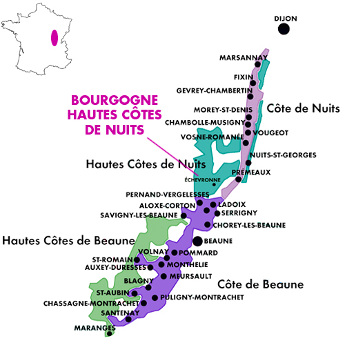 Bourgogne Hautes Côtes de Nuits Rouge Domaine des Chambris 2023 NJ
