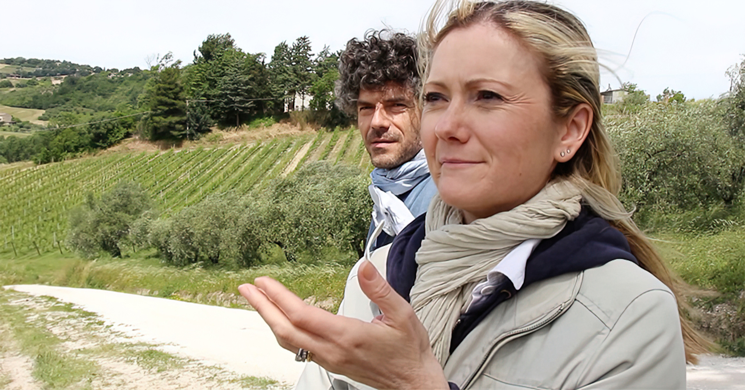Photo of the wine producer of Verdicchio dei Castelli di Jesi Classico Superiore San Nicolò Brunori 2023