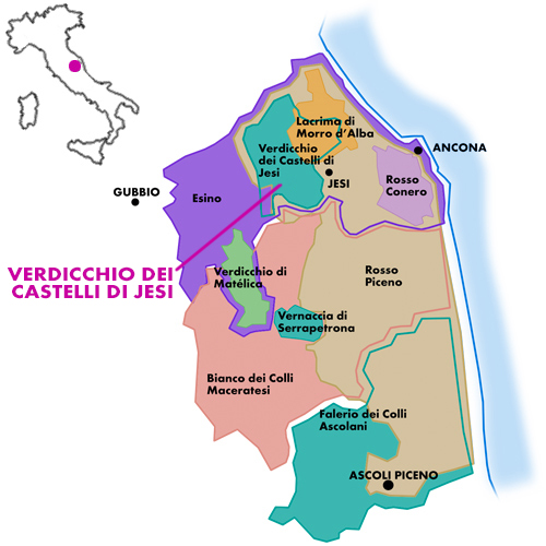 Appellation Map for Verdicchio dei Castelli di Jesi Classico Superiore San Nicolò Brunori 2023
