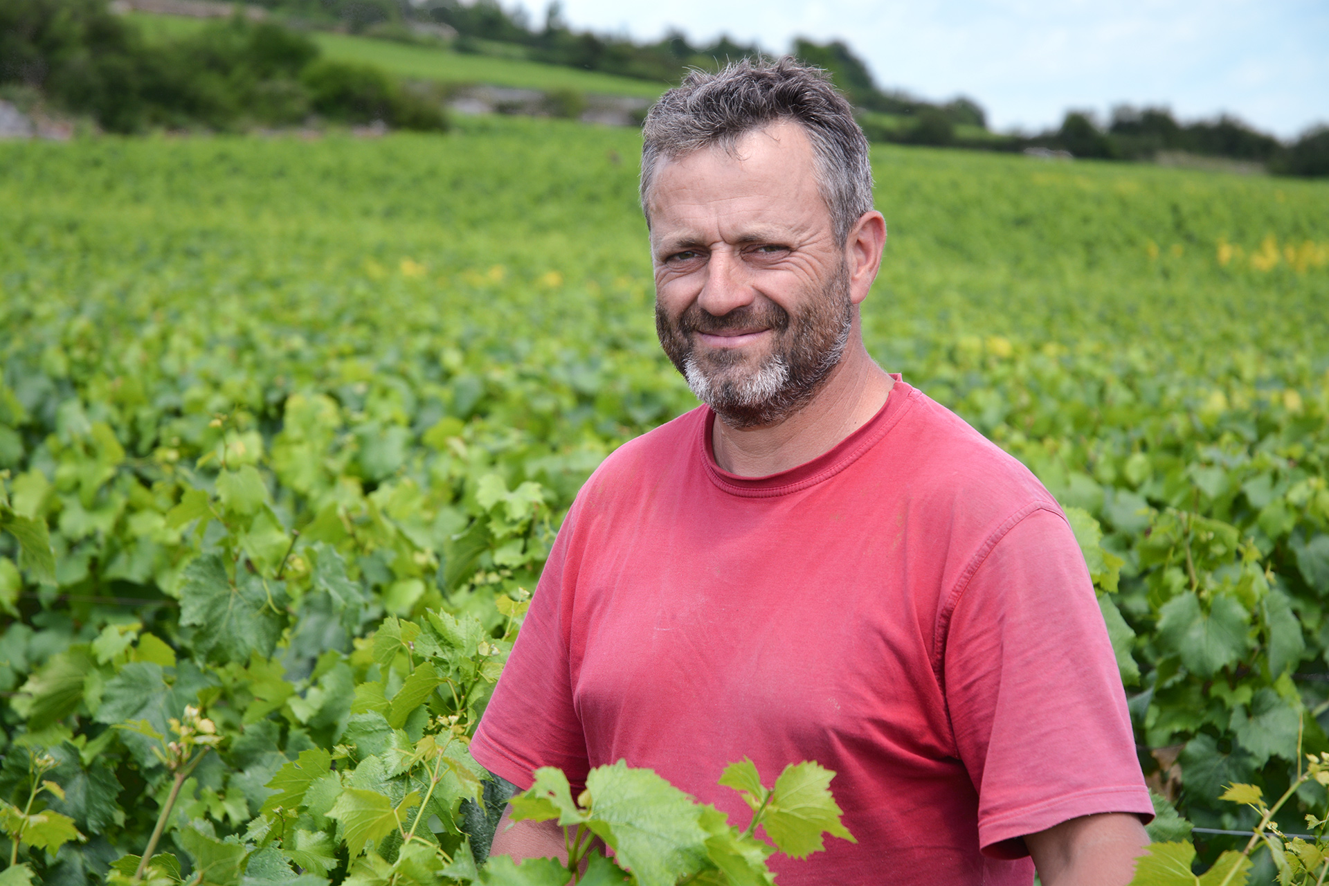 Photo of the wine producer of Bourgogne Côte d’Or  Blanc Domaine Henri Germain 2022