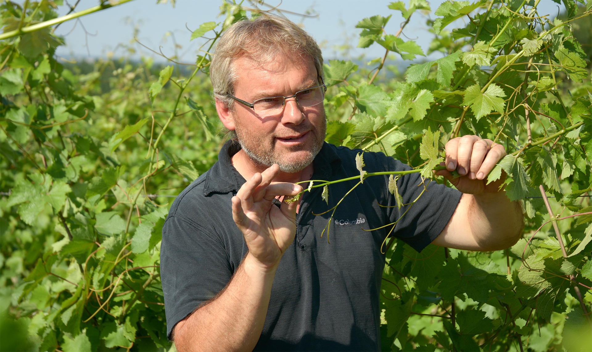 Photo of the wine producer of Chinon Les Graves Domaine Fabrice Gasnier 2023