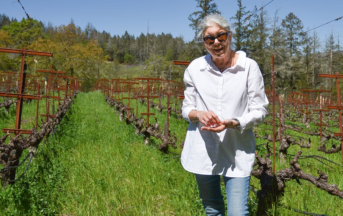Photo of the wine producer of Diamond Mountain District Cabernet Sauvignon Dyer Vineyard 2016