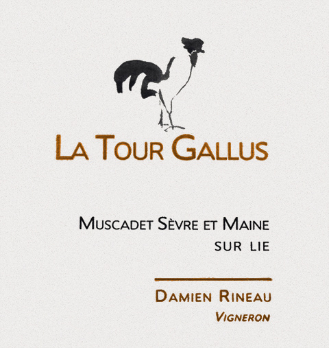 Muscadet Sèvre et Maine La Tour Gallus 2023 NJ