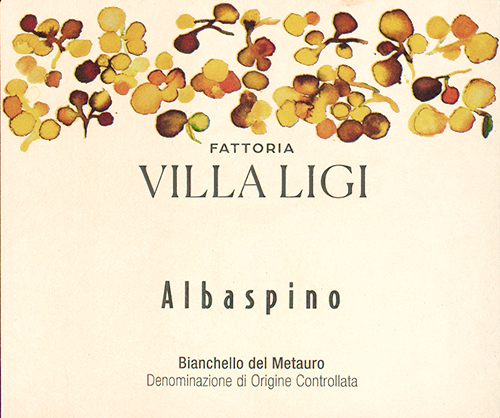 Bianchello del Metauro Albaspino Villa Ligi 2024 NJ
