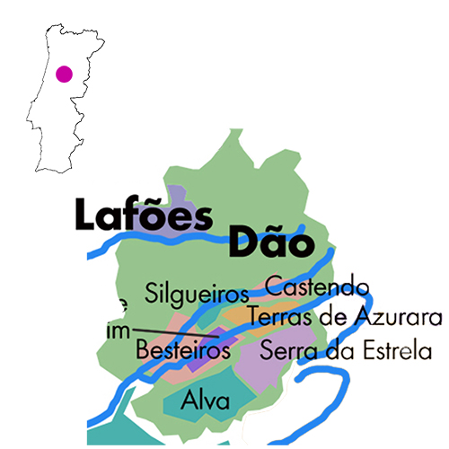 Appellation Map for Dão Sardanita Pet-Nat Freire Lobo 2024