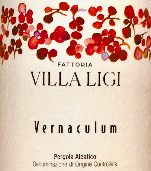 Pergola Aleatico Vernaculum Villa Ligi 2024 NY