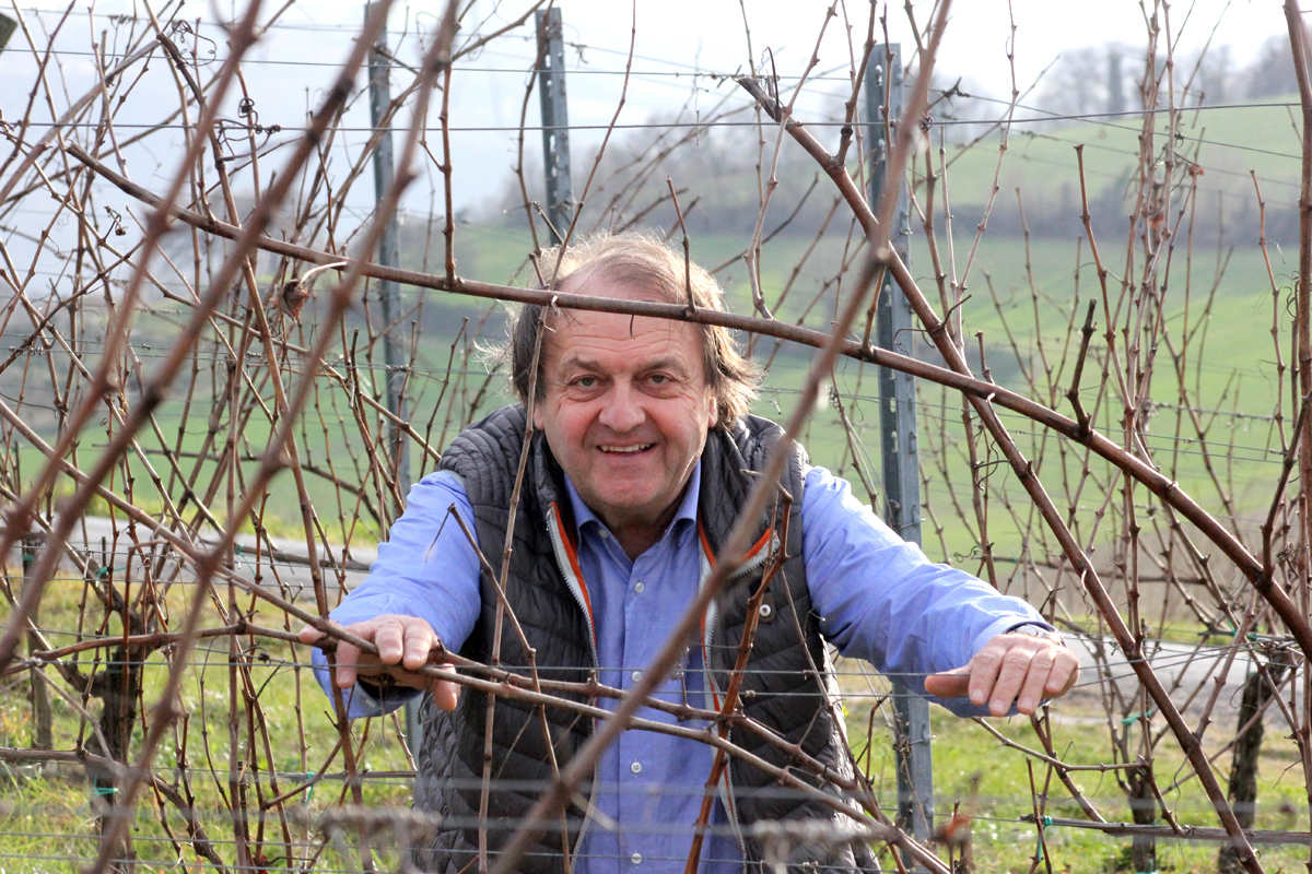 Photo of the wine producer of Pergola Aleatico Vernaculum Villa Ligi 2024