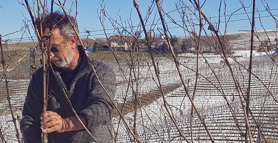 Photo of the wine producer of Barbaresco Ronchi Azienda Agricola Ronchi 2022