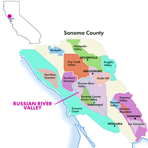 Appellation Map for Russian River Valley Zinfandel Out-Take 2024