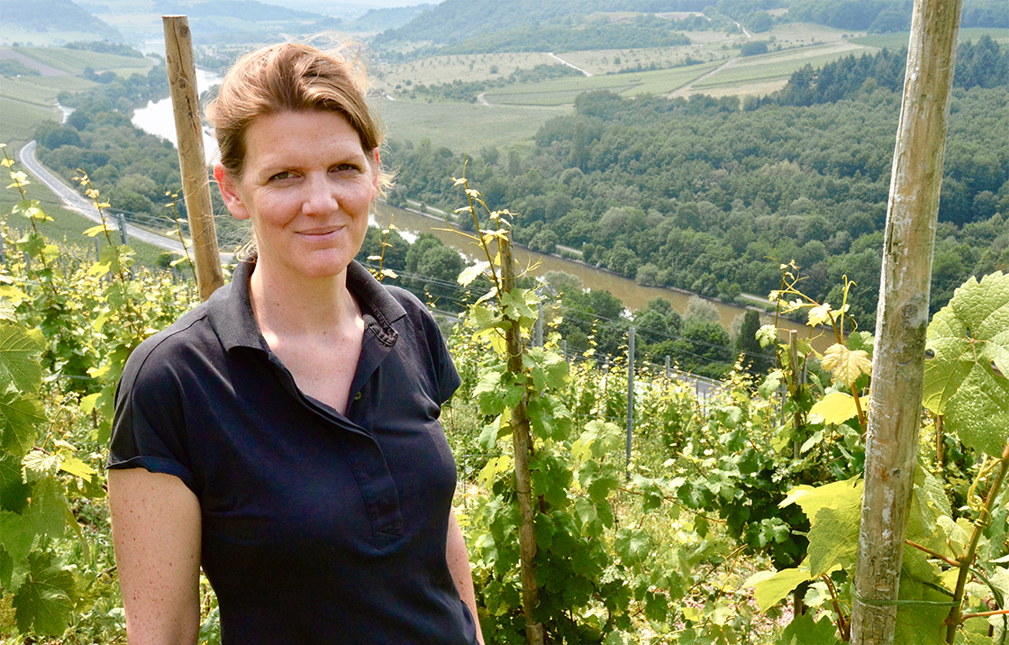 Photo of the wine producer of Saar Riesling Trocken “der Gärtner” Weingut Cantzheim 2023