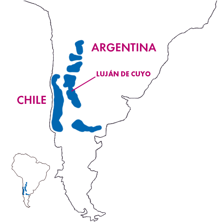 Appellation Map for Luján de Cuyo Cabernet Sauvignon Reserva Fabre Montmayou 2024