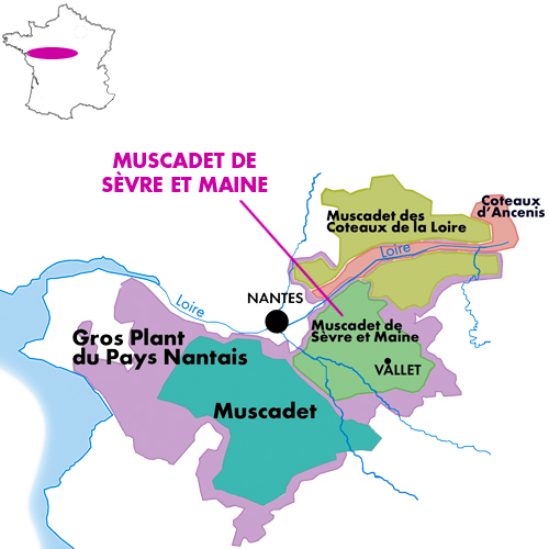 Appellation Map for Muscadet Sèvre et Maine Le Val-Fleuri Domaine Delaunay 2025