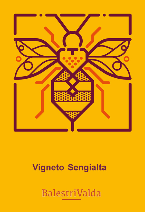 Soave Classico Vigneto Sengialta Balestri Valda 2022 NJ