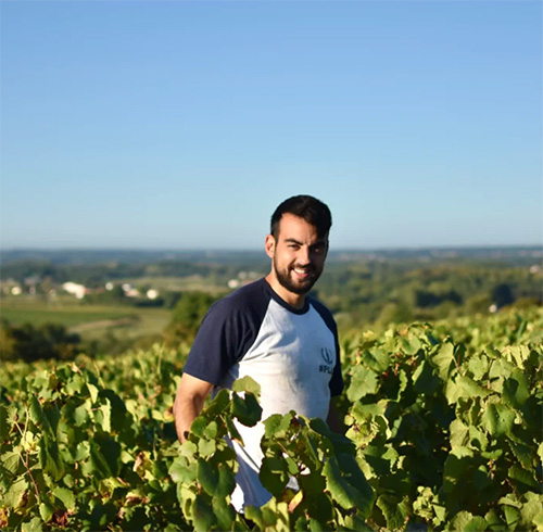 Photo of the wine producer of Muscadet Sèvre et Maine Tradition Domaine Delaunay 2025