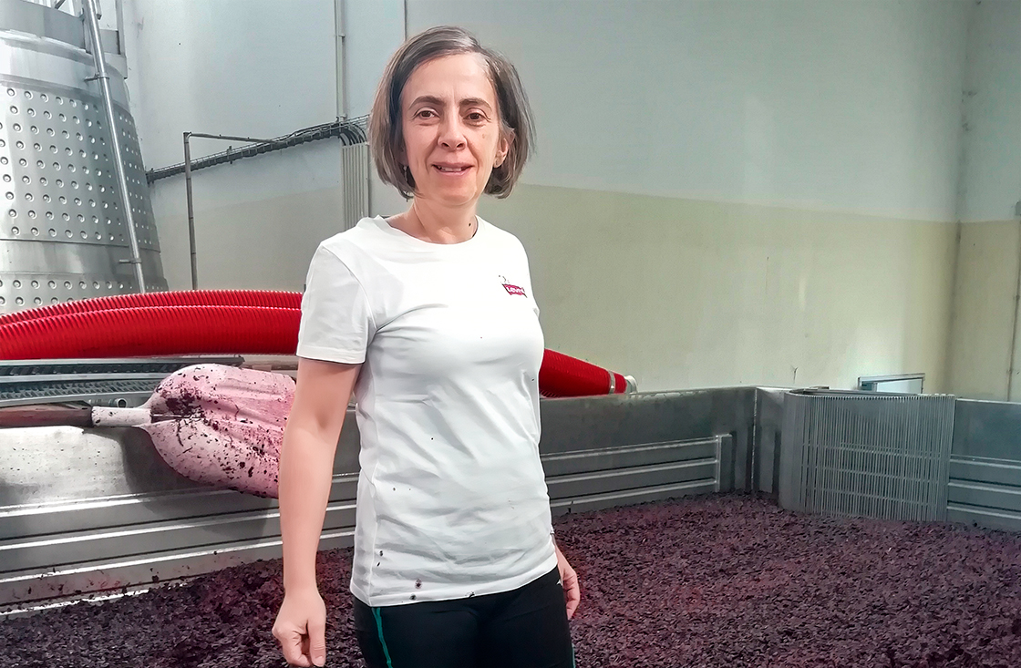 Photo of the wine producer of Dão Terroir Blend Granitico Freire Lobo 2022