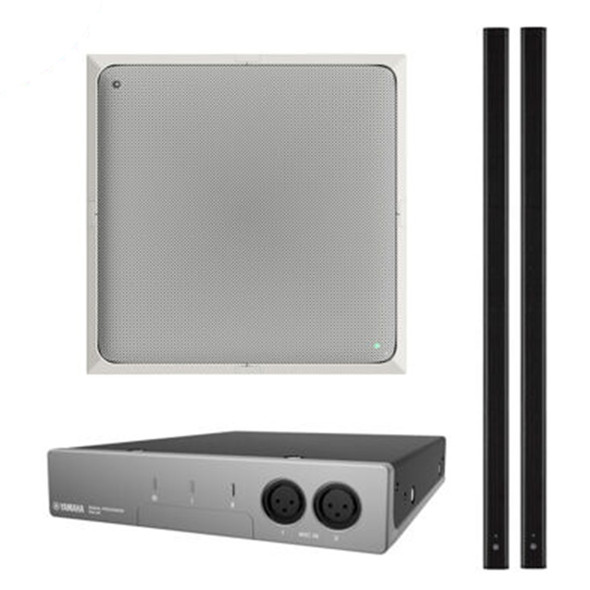 Yamaha-ADECIA Ceiling Bundle:   RM-CG-B Ceiling Microphone, RM-CR Audio Processor and SWR-2100P-5G Network Switch. These switches cannot power the VXL1 speakers in addition!