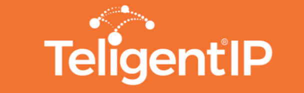 TeligentIP - Network Services