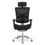 X-Chair- X3 ATR Mgmt Chair #2