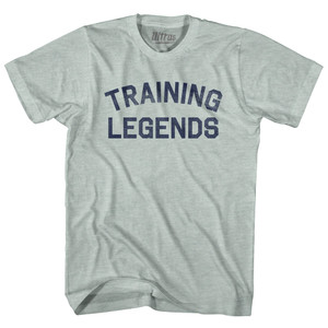 Training Legends Adult Tri-Blend T-shirt - Athletic Cool Grey
