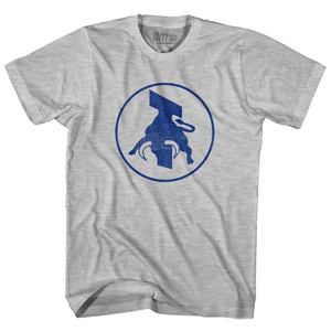 San Diego Toros Womens Cotton Junior Cut T-Shirt - Grey Heather